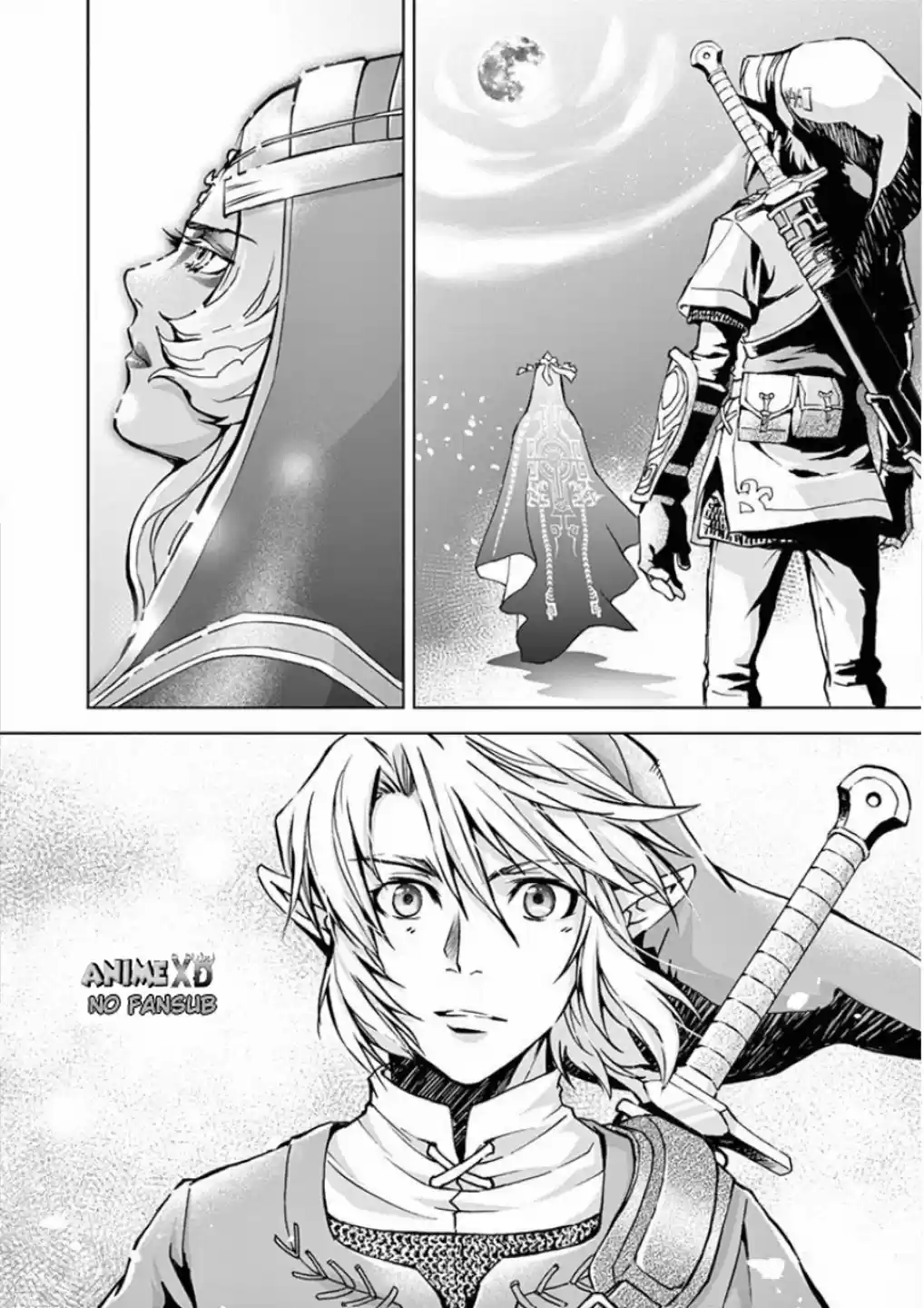 La Leyenda De Zelda: La Princesa Del Crepúsculo - Capítulo 29 - Página 10 - LectorTMOo