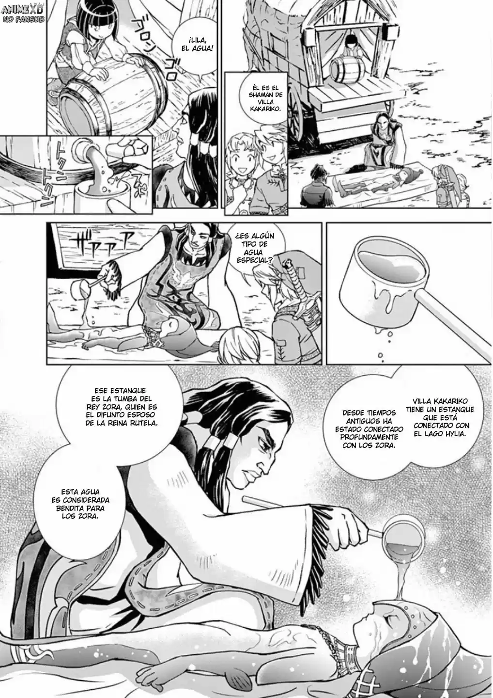 La Leyenda De Zelda: La Princesa Del Crepúsculo - Capítulo 30 - Página 43 - LectorTMOo