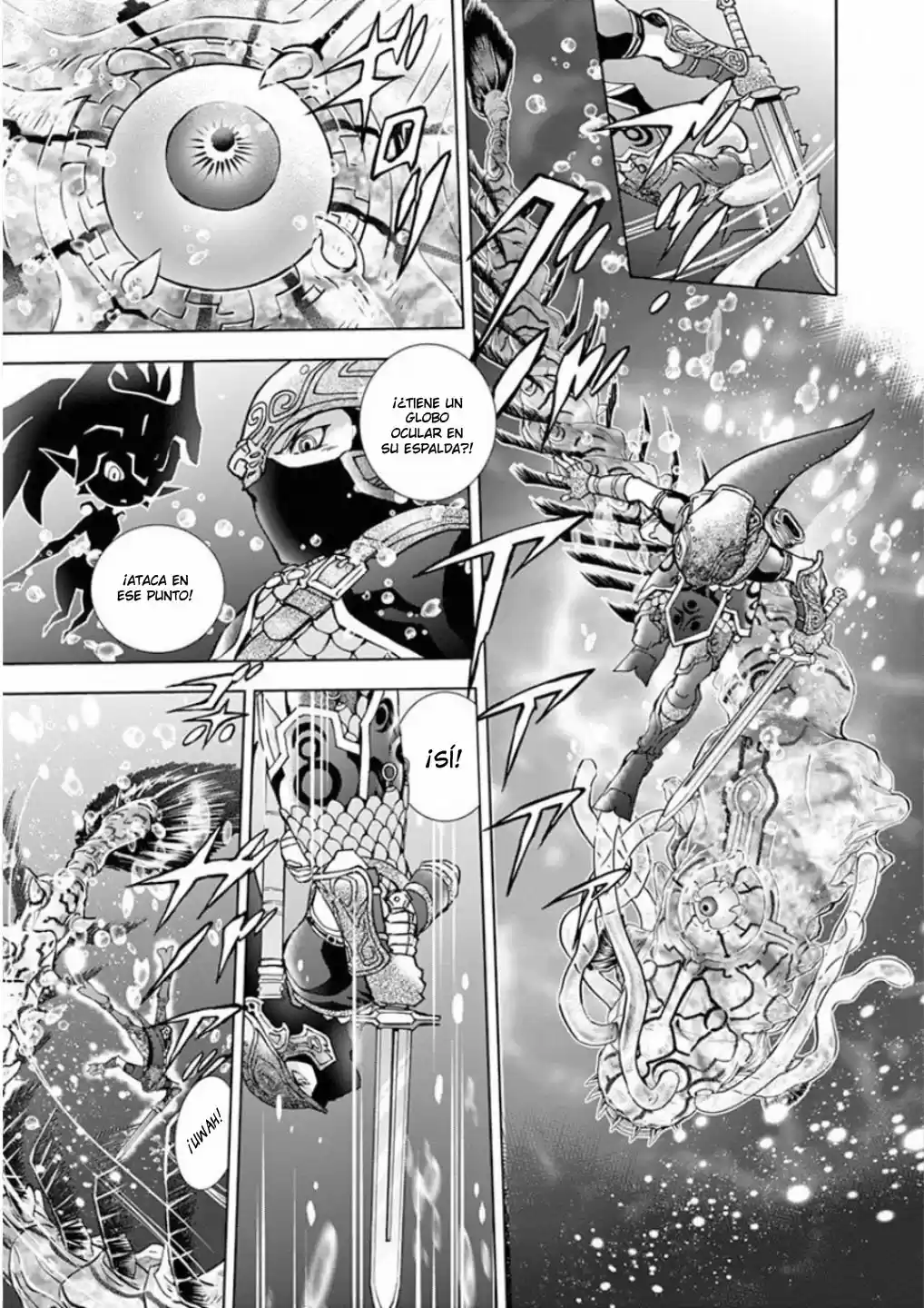La Leyenda De Zelda: La Princesa Del Crepúsculo - Capítulo 31 - Página 17 - LectorTMOo