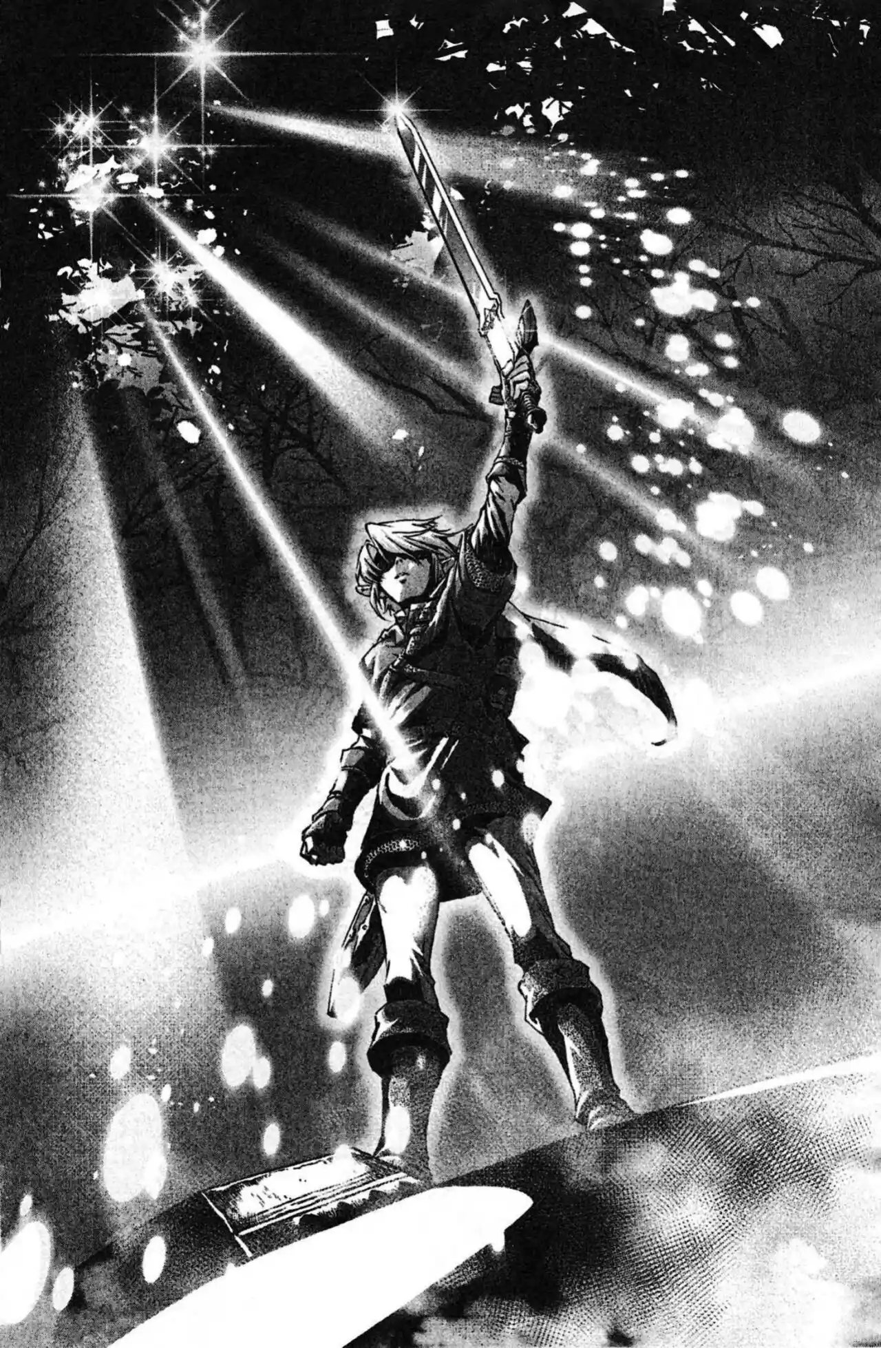 La Leyenda De Zelda: La Princesa Del Crepúsculo - Capítulo 33 - Página 27 - LectorTMOo