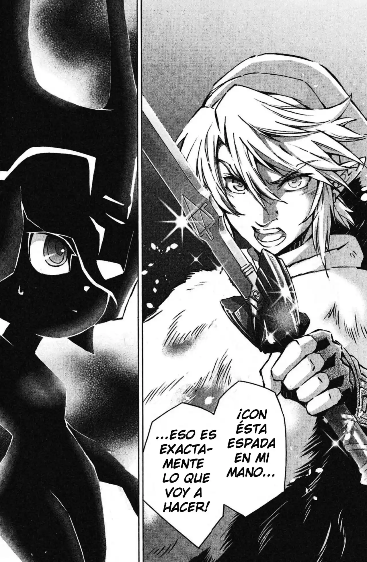 La Leyenda De Zelda: La Princesa Del Crepúsculo - Capítulo 36 - Página 64 - LectorTMOo