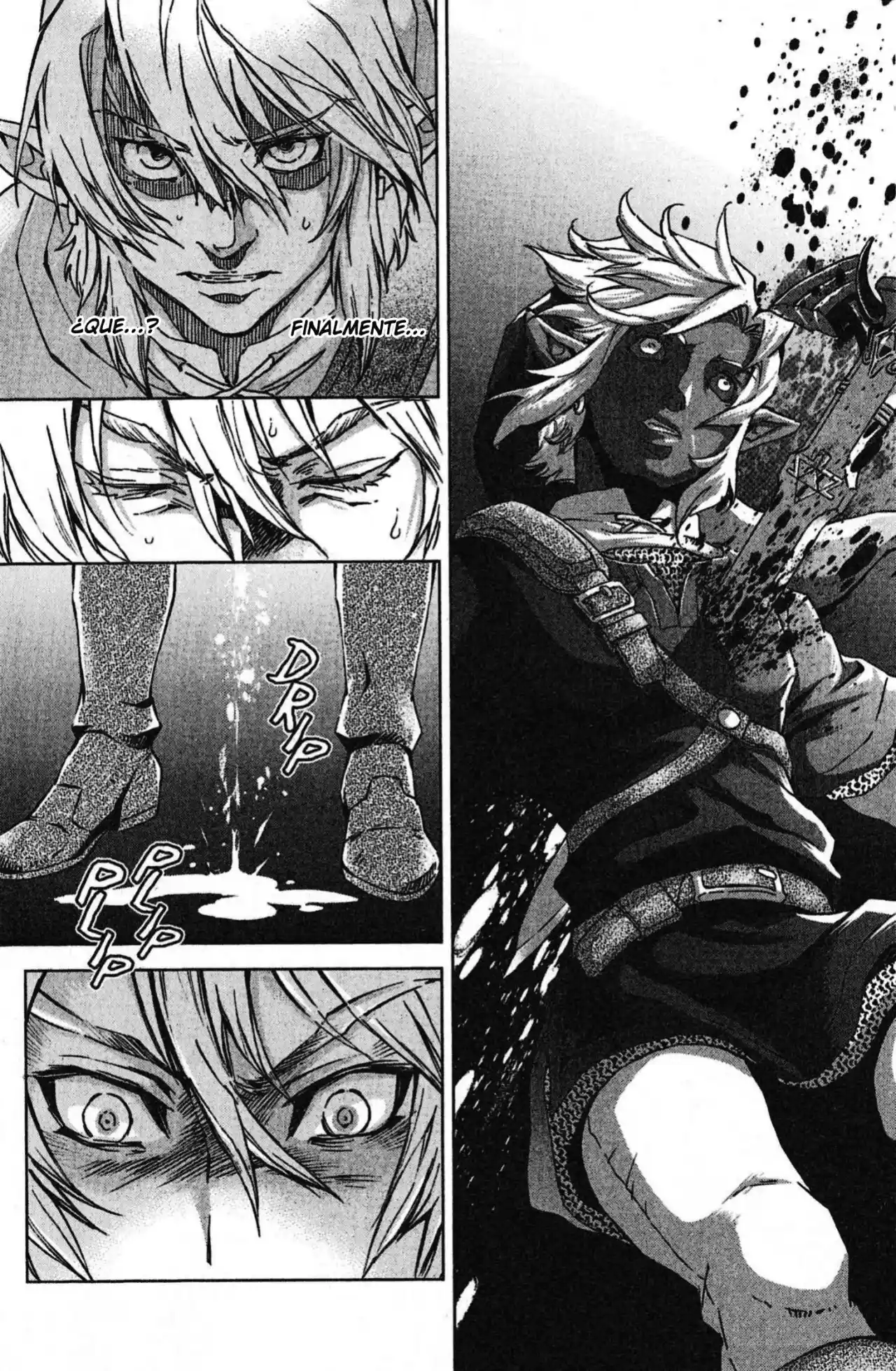 La Leyenda De Zelda: La Princesa Del Crepúsculo - Capítulo 37 - Página 49 - LectorTMOo