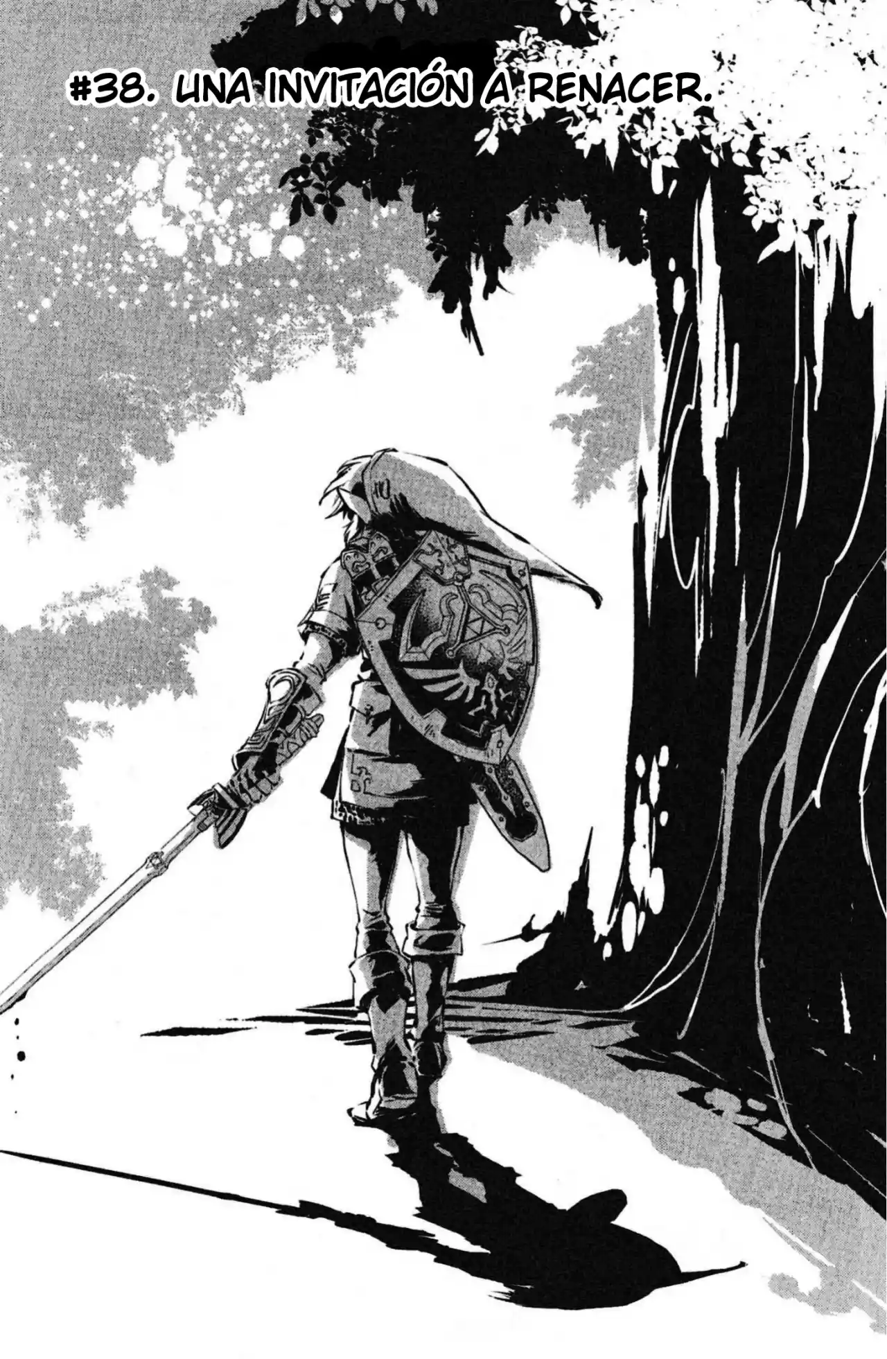 La Leyenda De Zelda: La Princesa Del Crepúsculo - Capítulo 38 - Página 2 - LectorTMOo