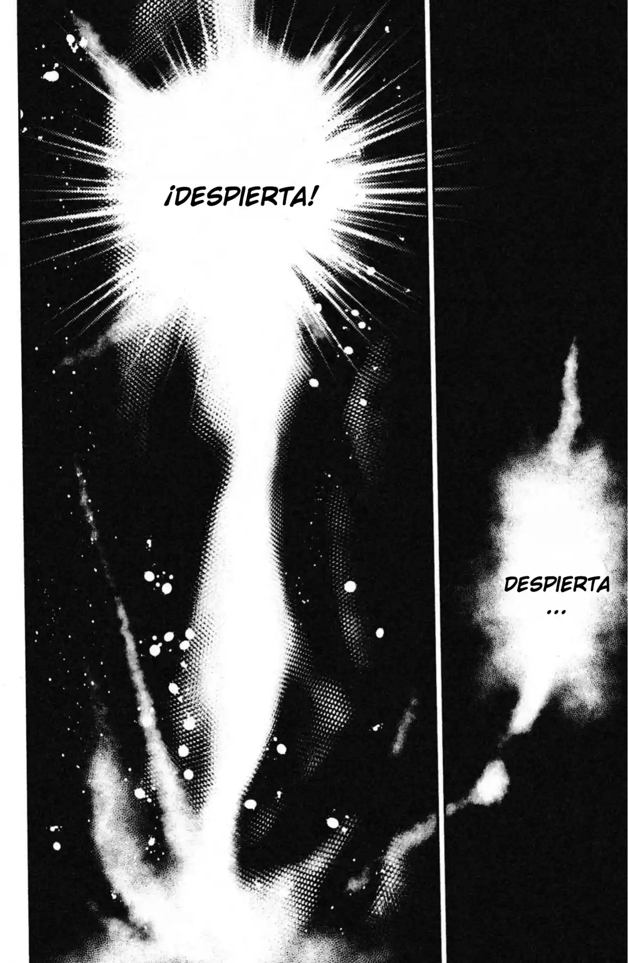 La Leyenda De Zelda: La Princesa Del Crepúsculo - Capítulo 40 - Página 2 - LectorTMOo