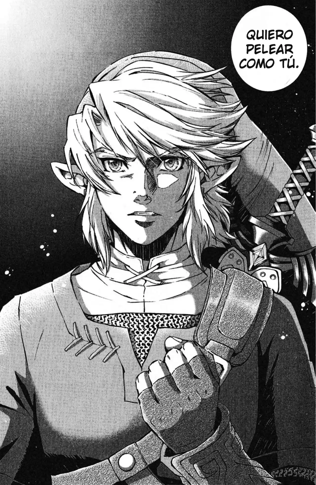 La Leyenda De Zelda: La Princesa Del Crepúsculo - Capítulo 41 - Página 29 - LectorTMOo