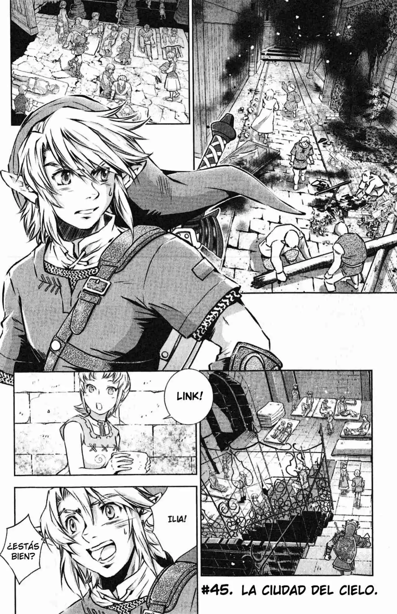 La Leyenda De Zelda: La Princesa Del Crepúsculo - Capítulo 45 - Página 1 - LectorTMOo