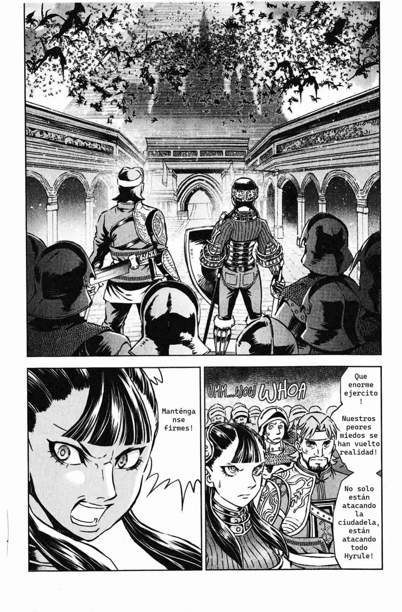 La Leyenda De Zelda: La Princesa Del Crepúsculo - Capítulo 50 - Página 18 - LectorTMOo