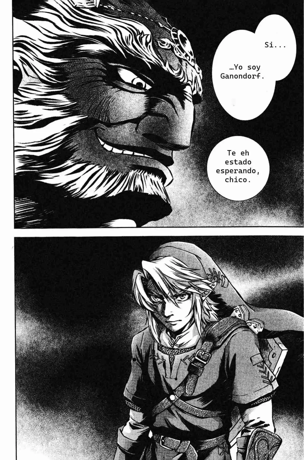 La Leyenda De Zelda: La Princesa Del Crepúsculo - Capítulo 52 - Página 25 - LectorTMOo