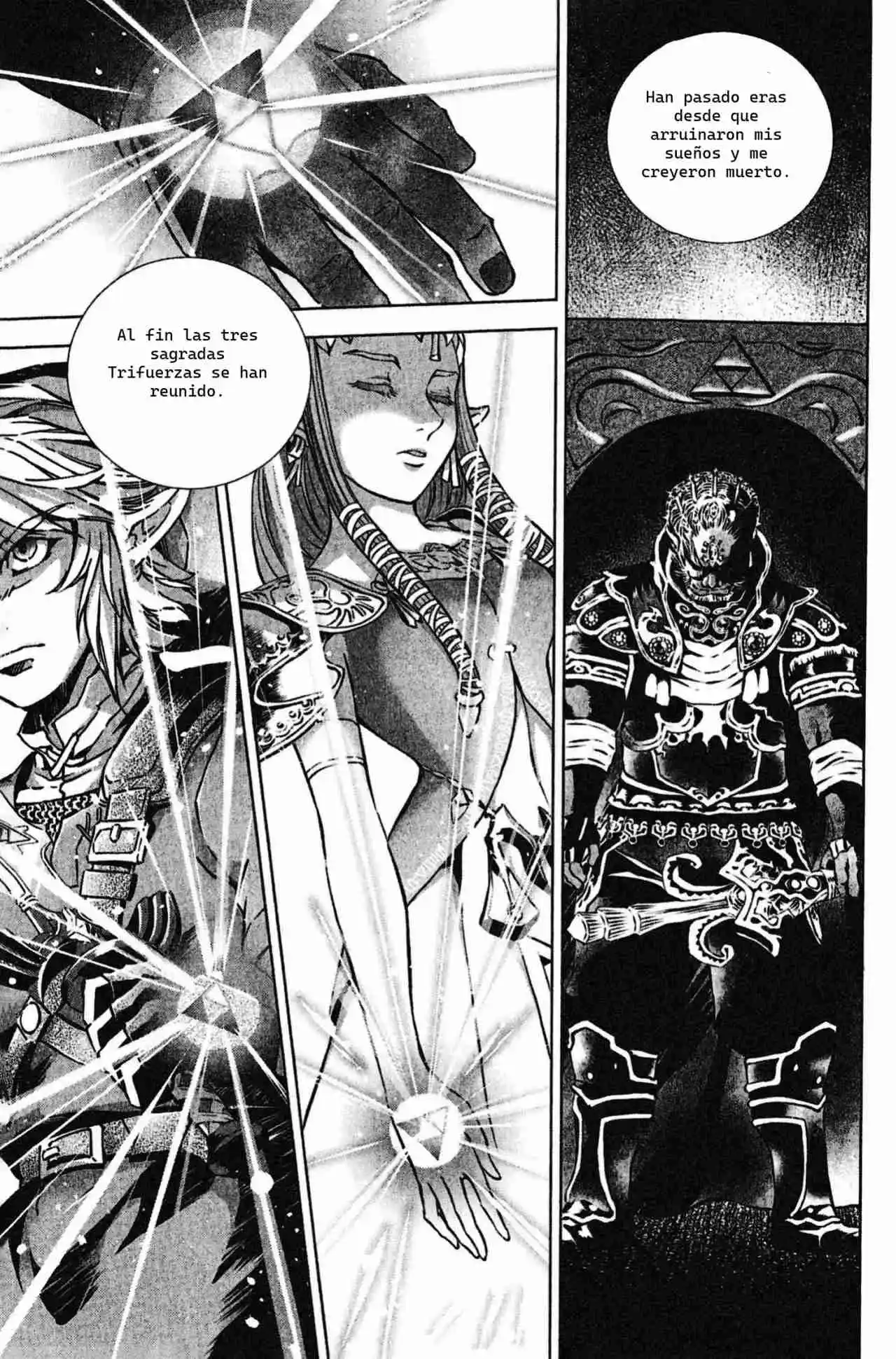 La Leyenda De Zelda: La Princesa Del Crepúsculo - Capítulo 52 - Página 26 - LectorTMOo