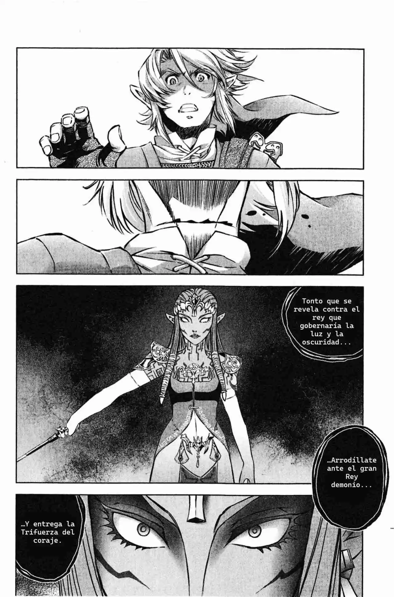 La Leyenda De Zelda: La Princesa Del Crepúsculo - Capítulo 52 - Página 35 - LectorTMOo
