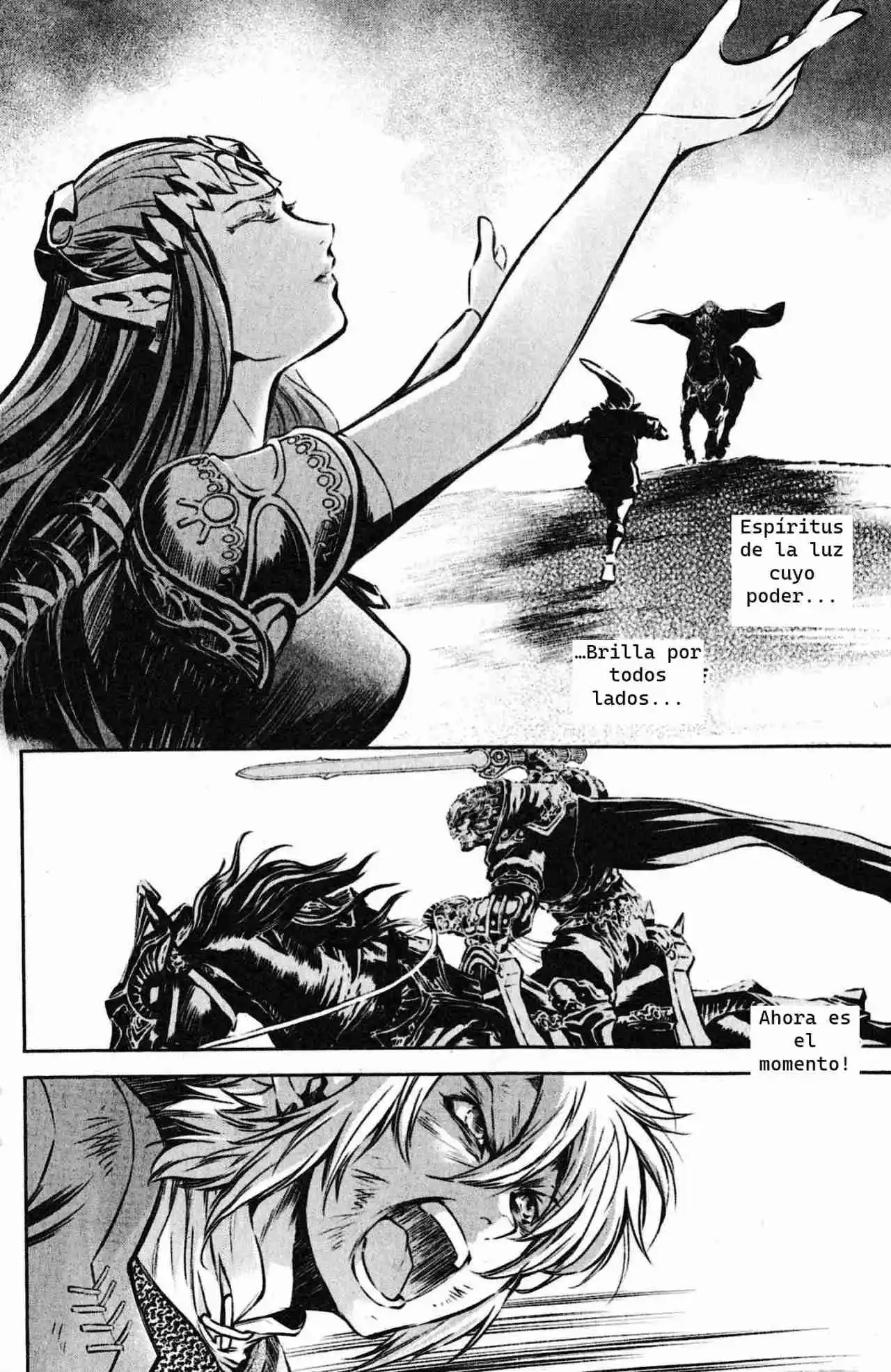 La Leyenda De Zelda: La Princesa Del Crepúsculo - Capítulo 55 - Página 12 - LectorTMOo