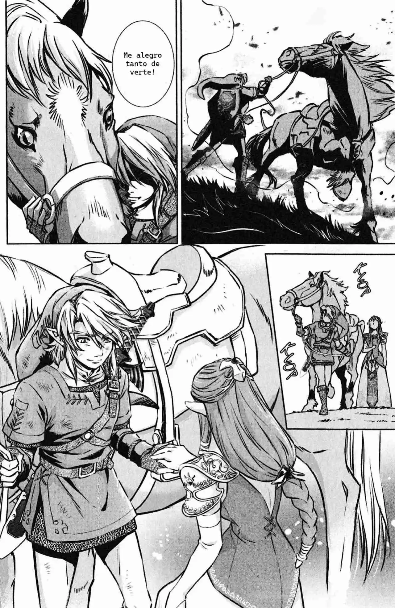 La Leyenda De Zelda: La Princesa Del Crepúsculo - Capítulo 55 - Página 20 - LectorTMOo