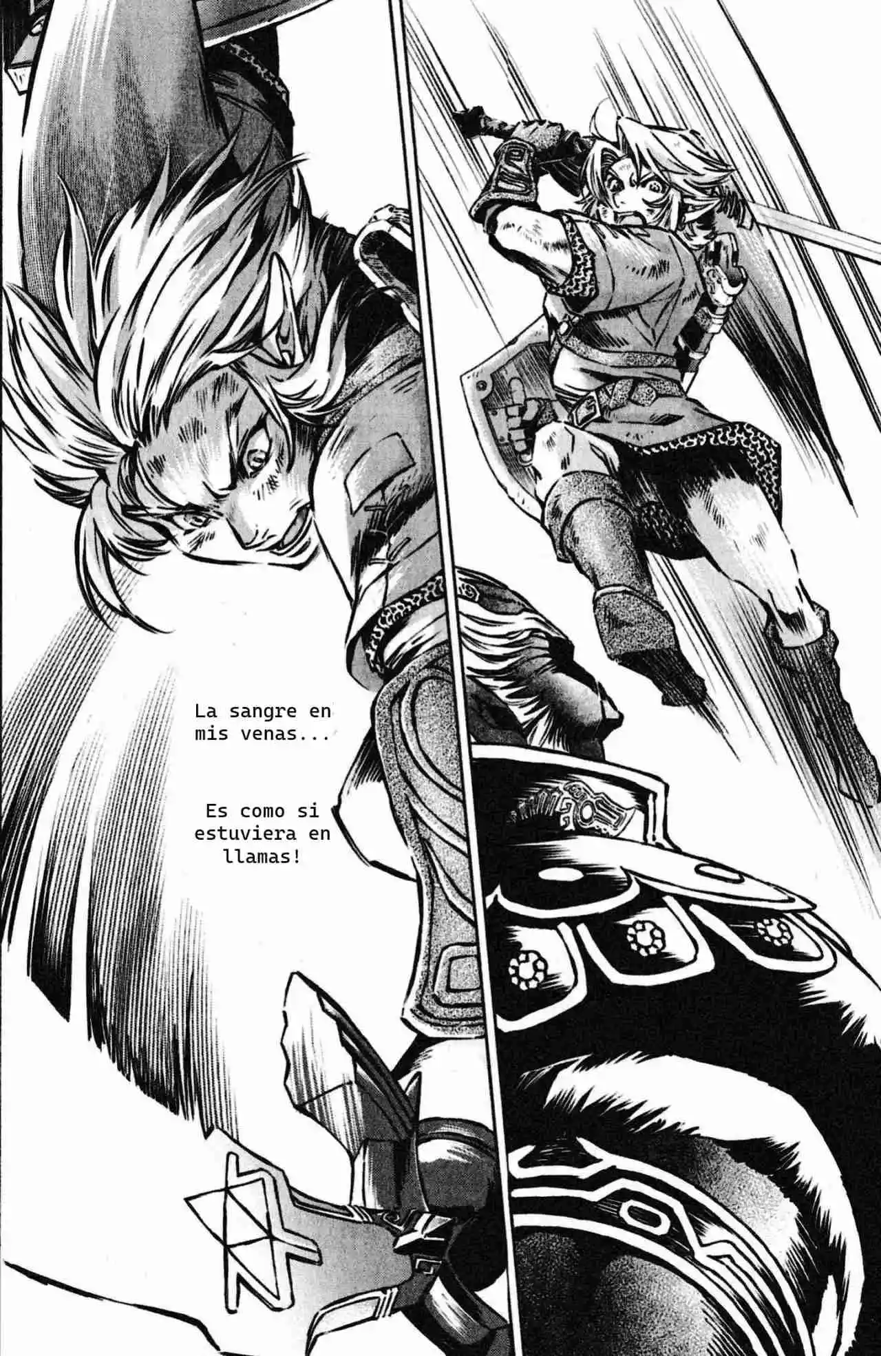 La Leyenda De Zelda: La Princesa Del Crepúsculo - Capítulo 57 - Página 6 - LectorTMOo