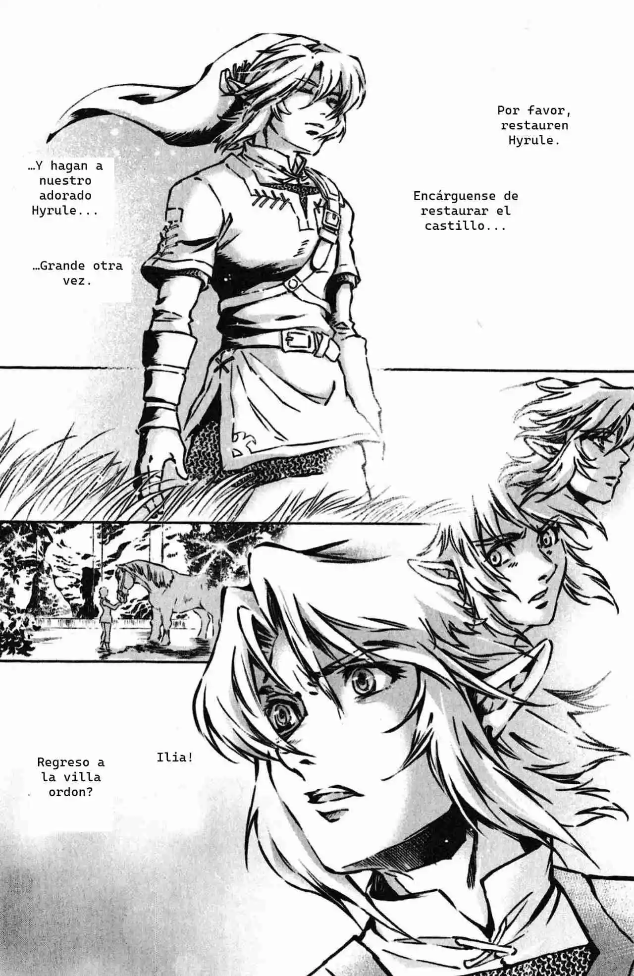La Leyenda De Zelda: La Princesa Del Crepúsculo - Capítulo 57 - Página 27 - LectorTMOo