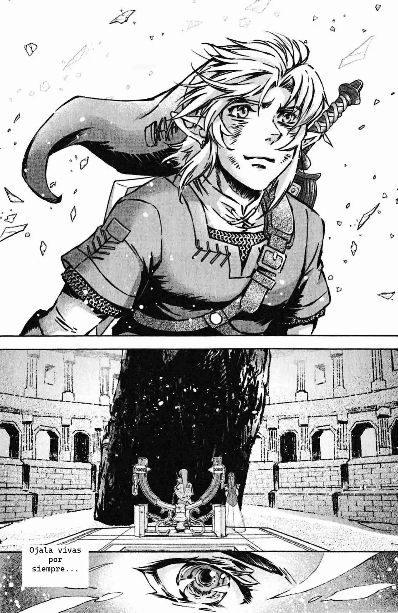 La Leyenda De Zelda: La Princesa Del Crepúsculo - Capítulo 59 - Página 21 - LectorTMOo