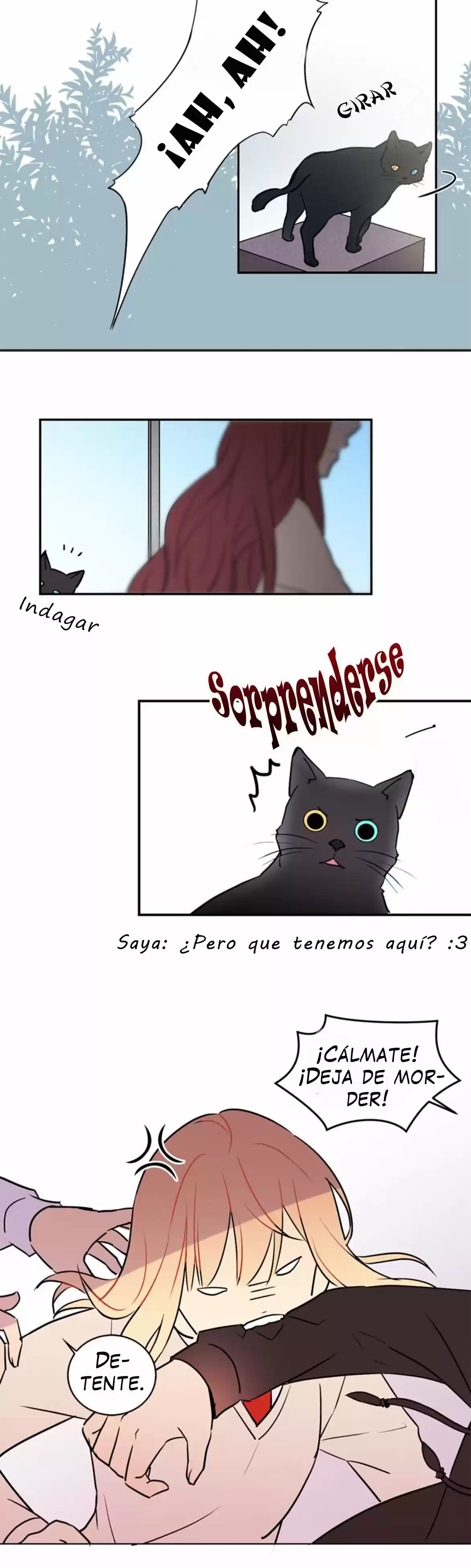 La Novia Del Principe Gato - Capítulo 1 - Página 25 - LectorTMOo