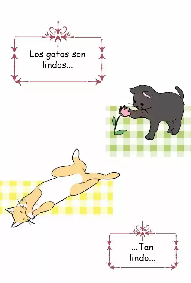 La Novia Del Principe Gato - Capítulo 15 - Página 6 - LectorTMOo
