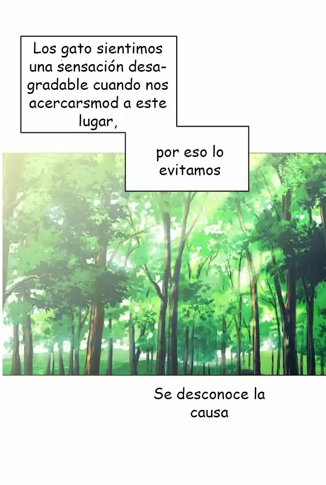 La Novia Del Principe Gato - Capítulo 18 - Página 27 - LectorTMOo