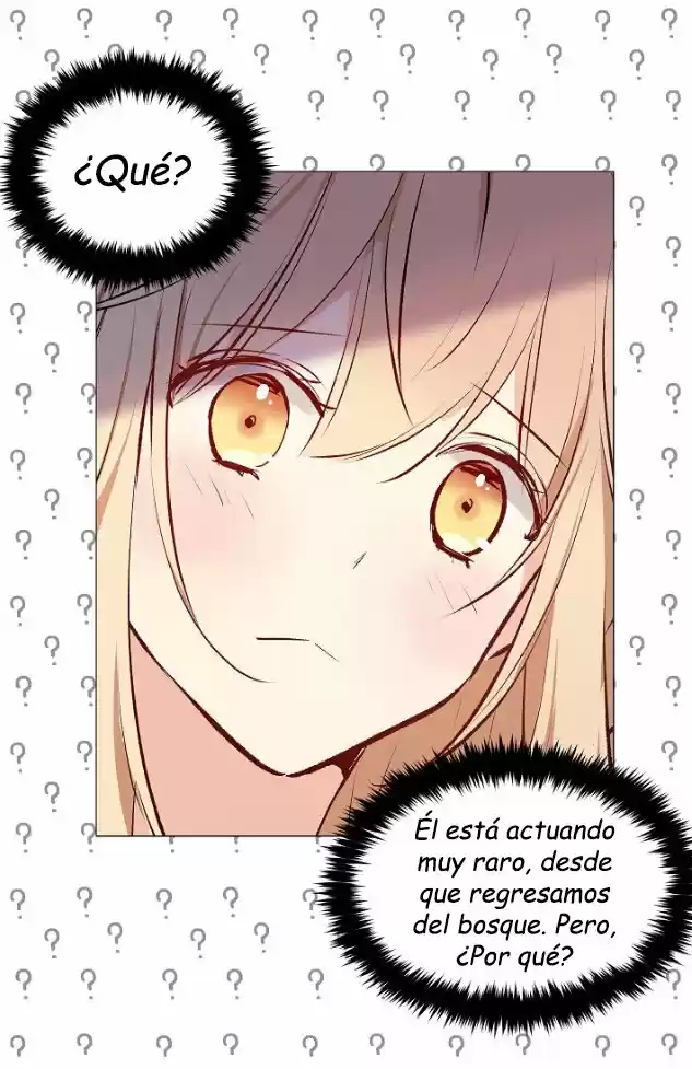 La Novia Del Principe Gato - Capítulo 21 - Página 51 - LectorTMOo