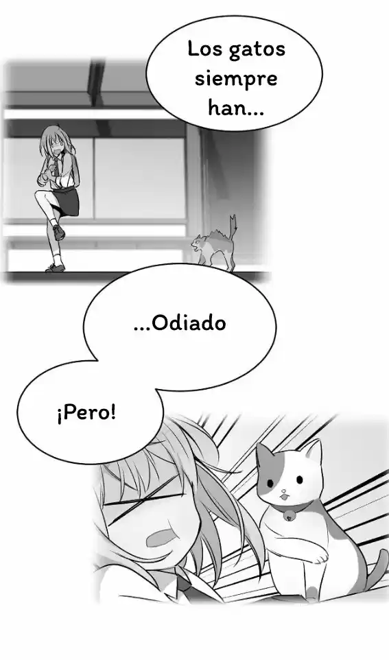 La Novia Del Principe Gato - Capítulo 35 - Página 22 - LectorTMOo