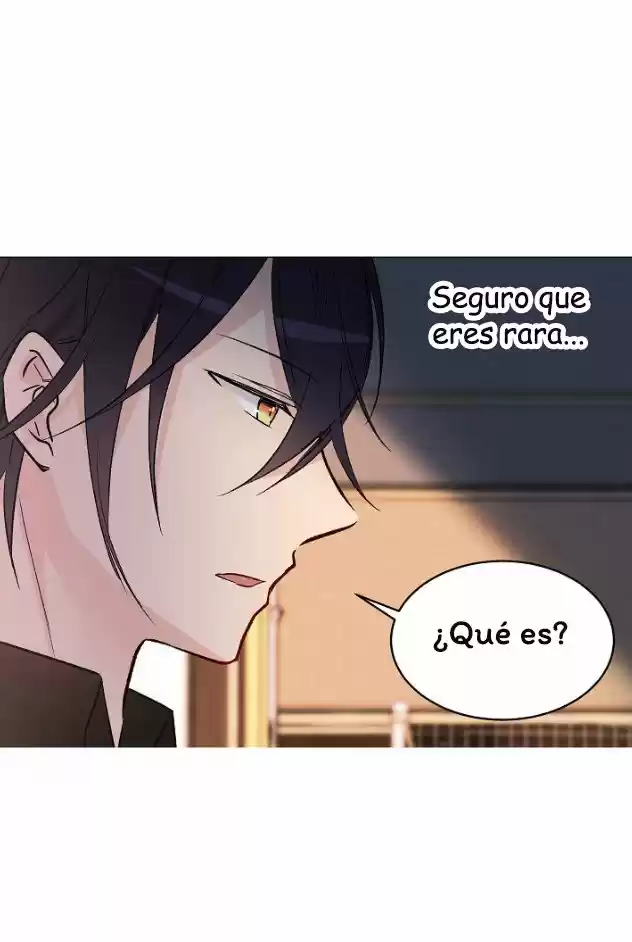 La Novia Del Principe Gato - Capítulo 35 - Página 55 - LectorTMOo