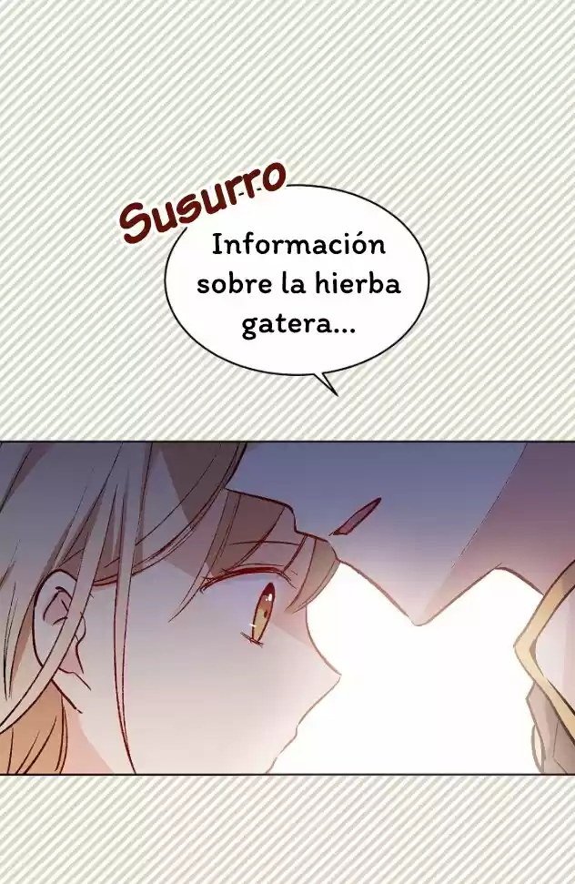 La Novia Del Principe Gato - Capítulo 39 - Página 12 - LectorTMOo