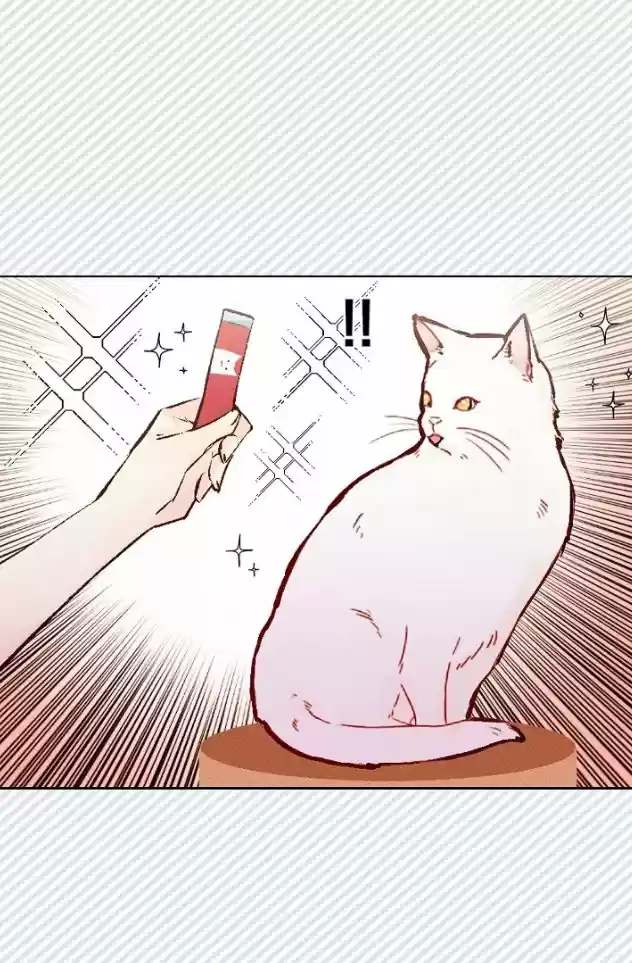 La Novia Del Principe Gato - Capítulo 41 - Página 7 - LectorTMOo