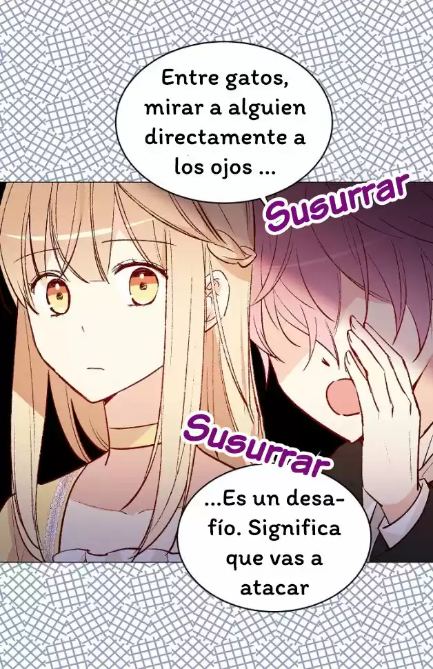 La Novia Del Principe Gato - Capítulo 43 - Página 31 - LectorTMOo