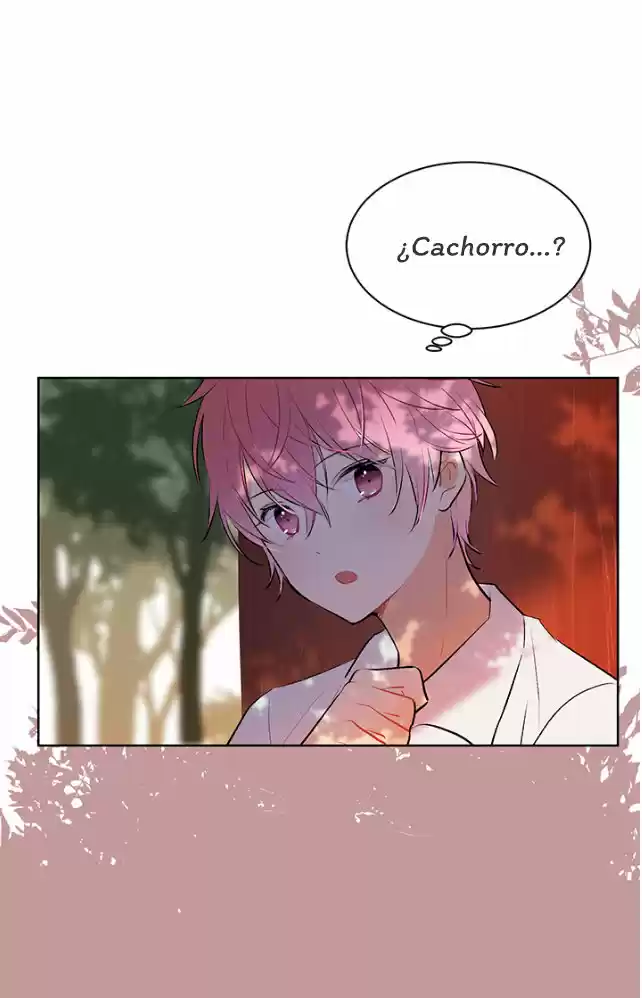 La Novia Del Principe Gato - Capítulo 7 - Página 17 - LectorTMOo