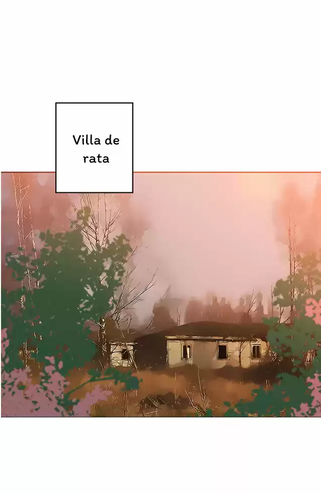 La Novia Del Principe Gato - Capítulo 7 - Página 45 - LectorTMOo
