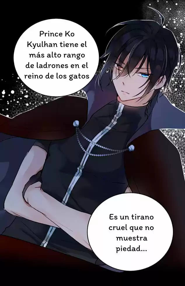 La Novia Del Principe Gato - Capítulo 8 - Página 27 - LectorTMOo