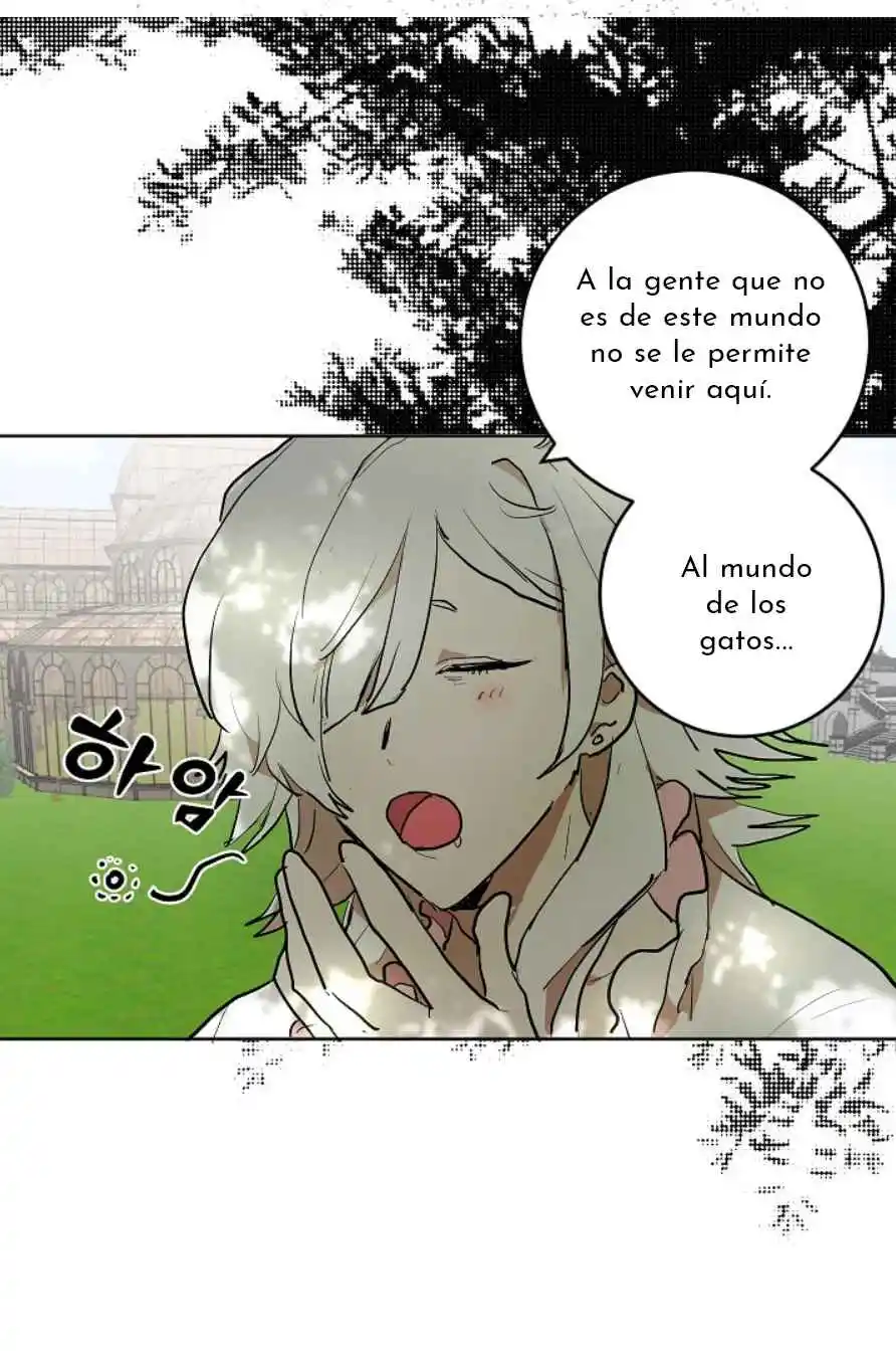 La Novia Del Principe Gato - Capítulo 87 - Página 22 - LectorTMOo