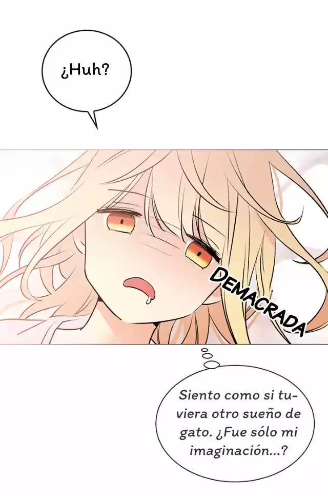 La Novia Del Principe Gato - Capítulo 9 - Página 42 - LectorTMOo