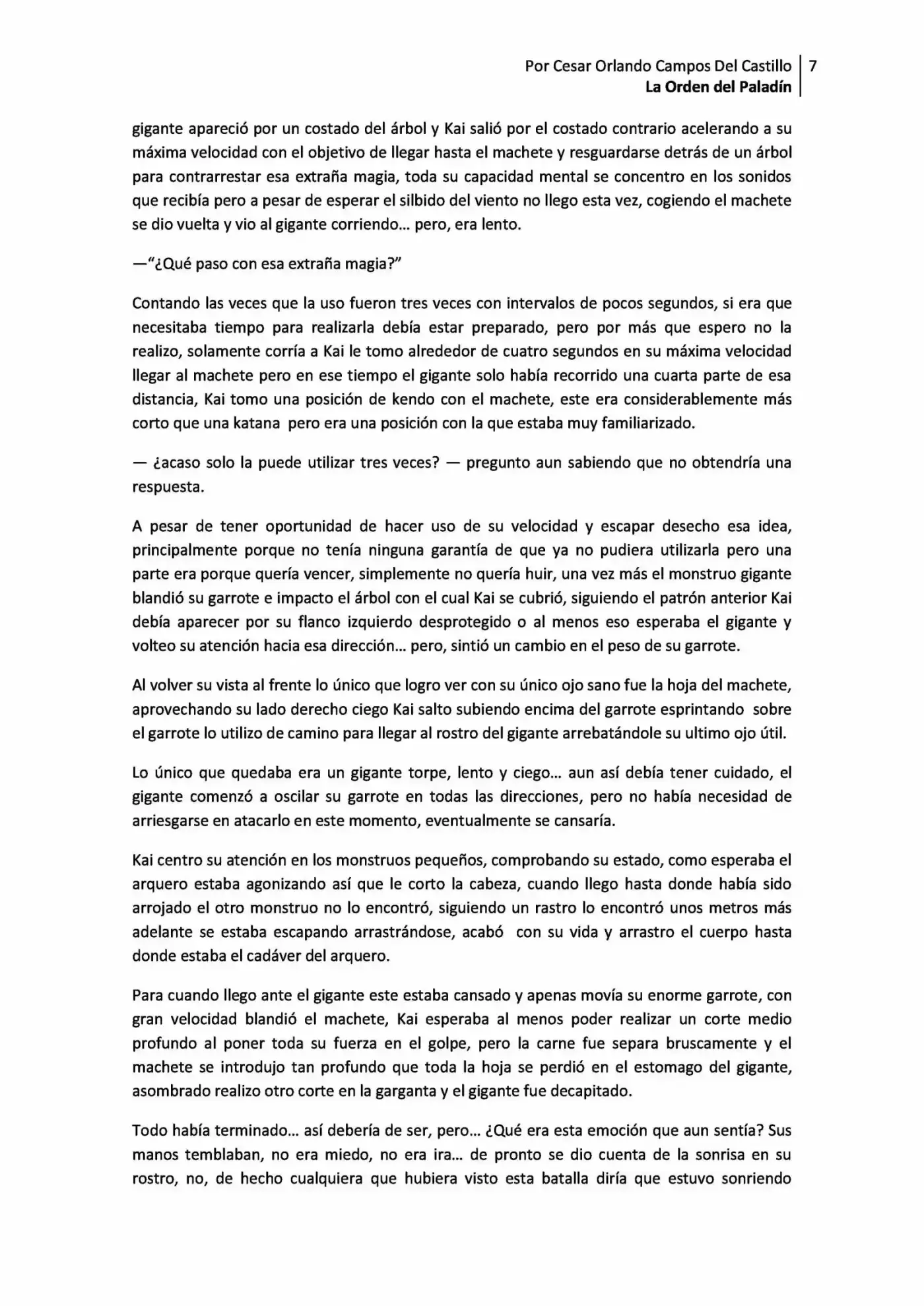 La Orden Del Paladin (Novela) - Capítulo 1.10 - Página 7 - LectorTMOo