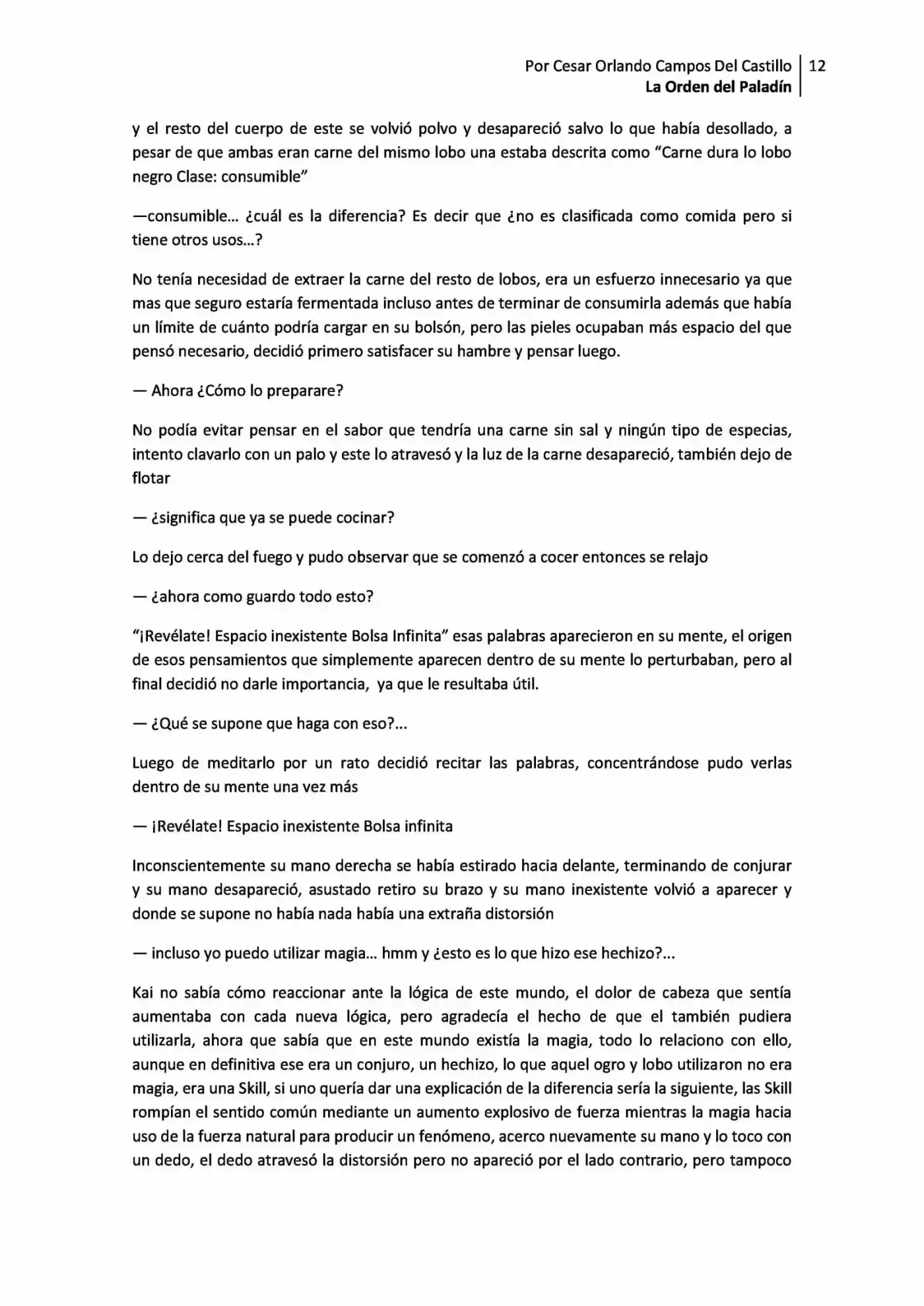 La Orden Del Paladin (Novela) - Capítulo 1.10 - Página 12 - LectorTMOo