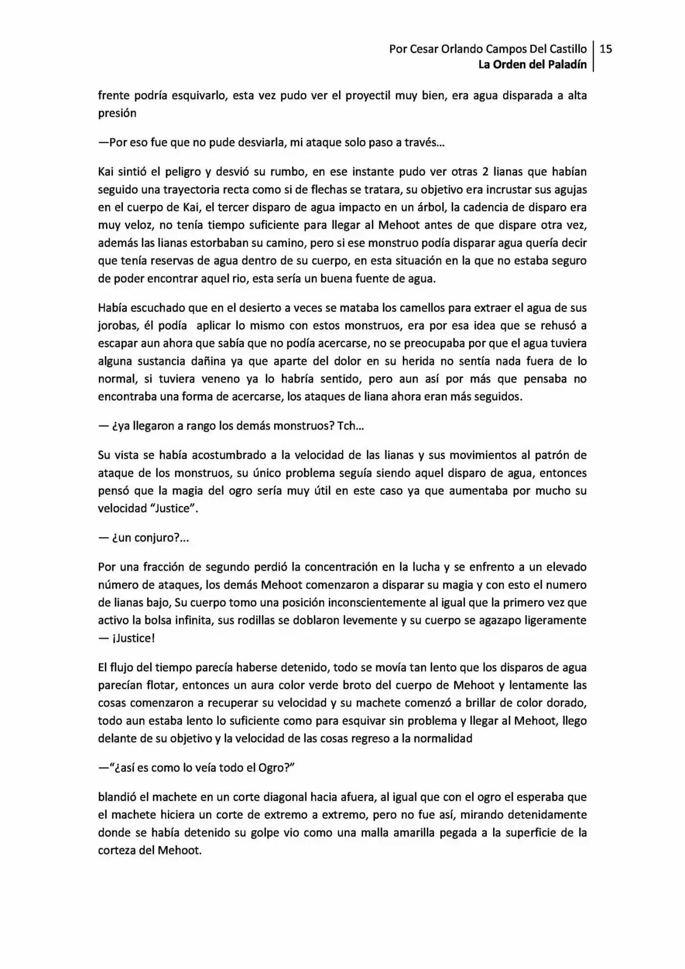 La Orden Del Paladin (Novela) - Capítulo 1.10 - Página 15 - LectorTMOo