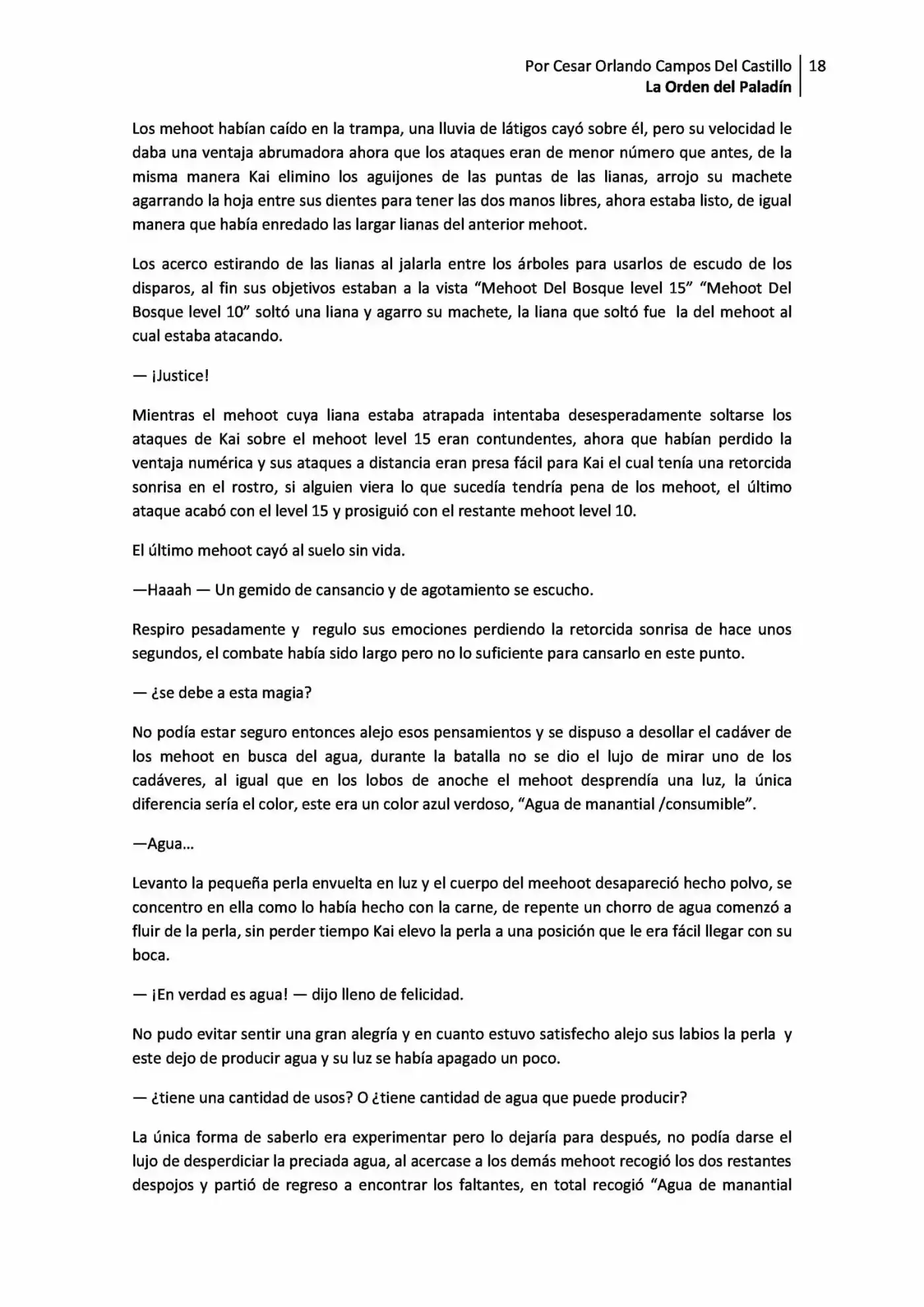 La Orden Del Paladin (Novela) - Capítulo 1.10 - Página 18 - LectorTMOo