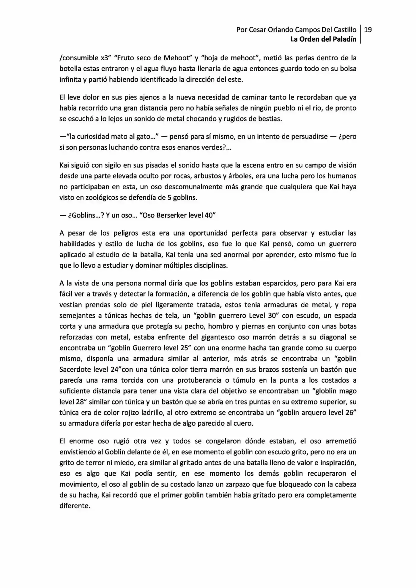 La Orden Del Paladin (Novela) - Capítulo 1.10 - Página 19 - LectorTMOo