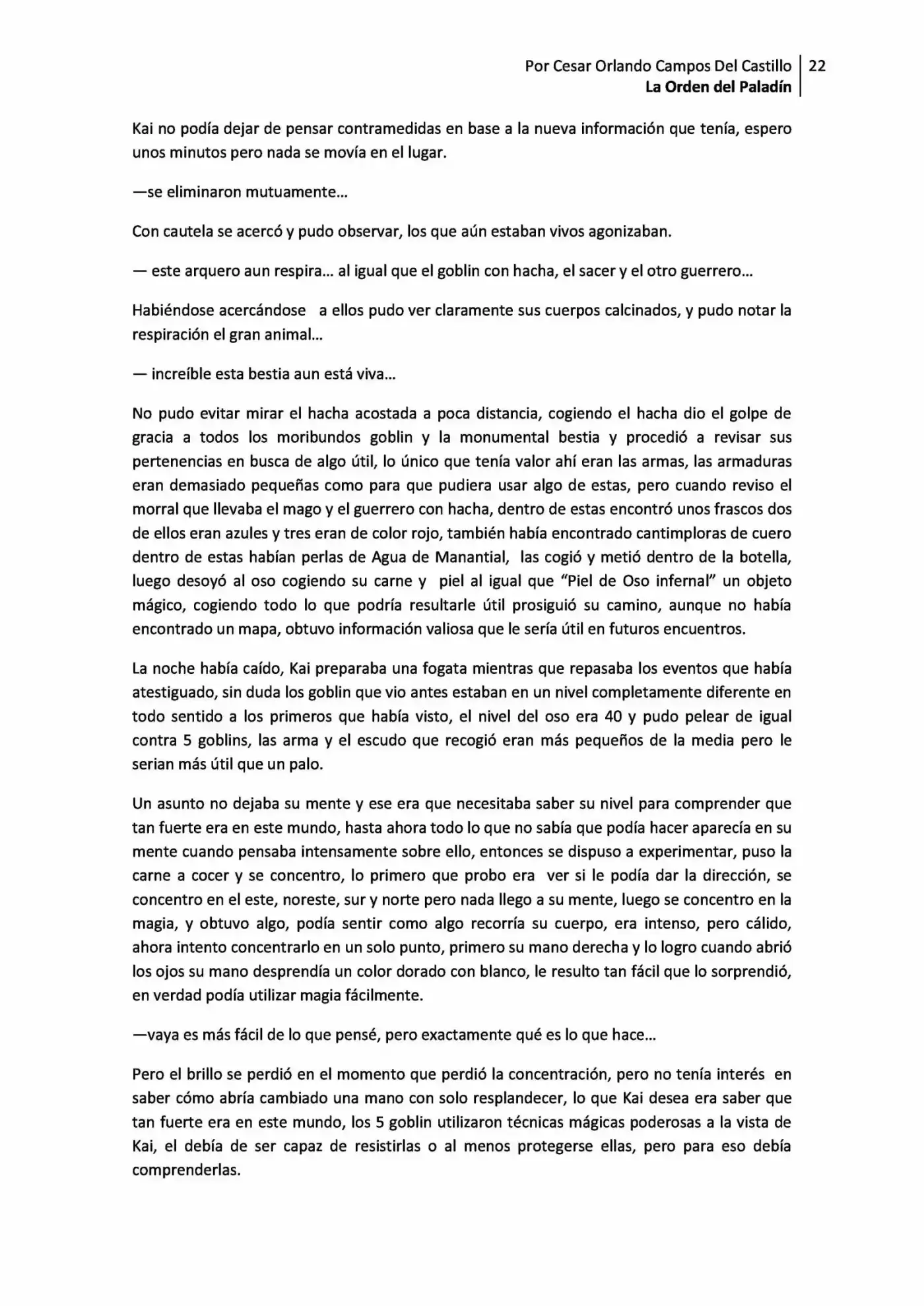 La Orden Del Paladin (Novela) - Capítulo 1.10 - Página 22 - LectorTMOo