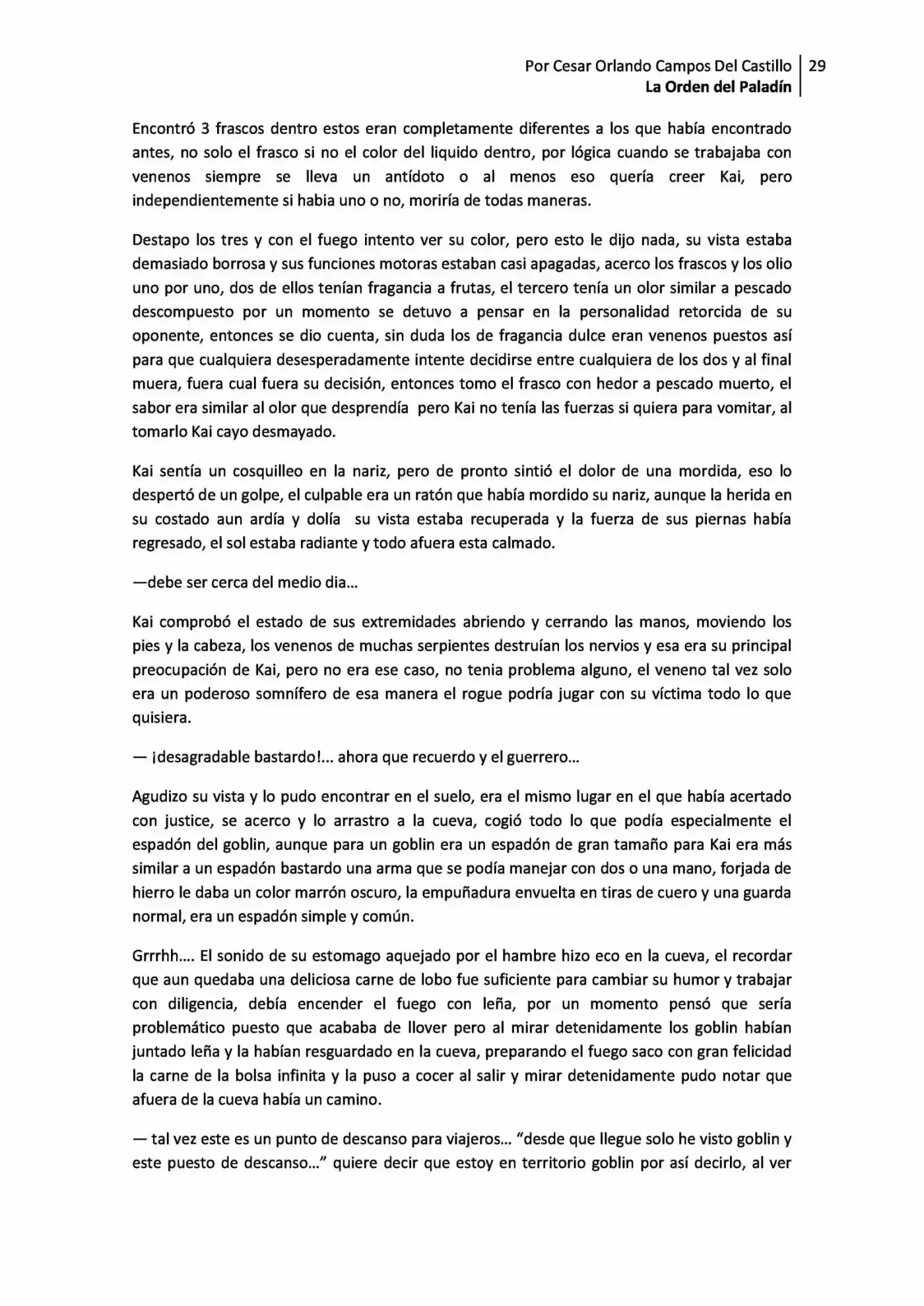 La Orden Del Paladin (Novela) - Capítulo 1.10 - Página 29 - LectorTMOo