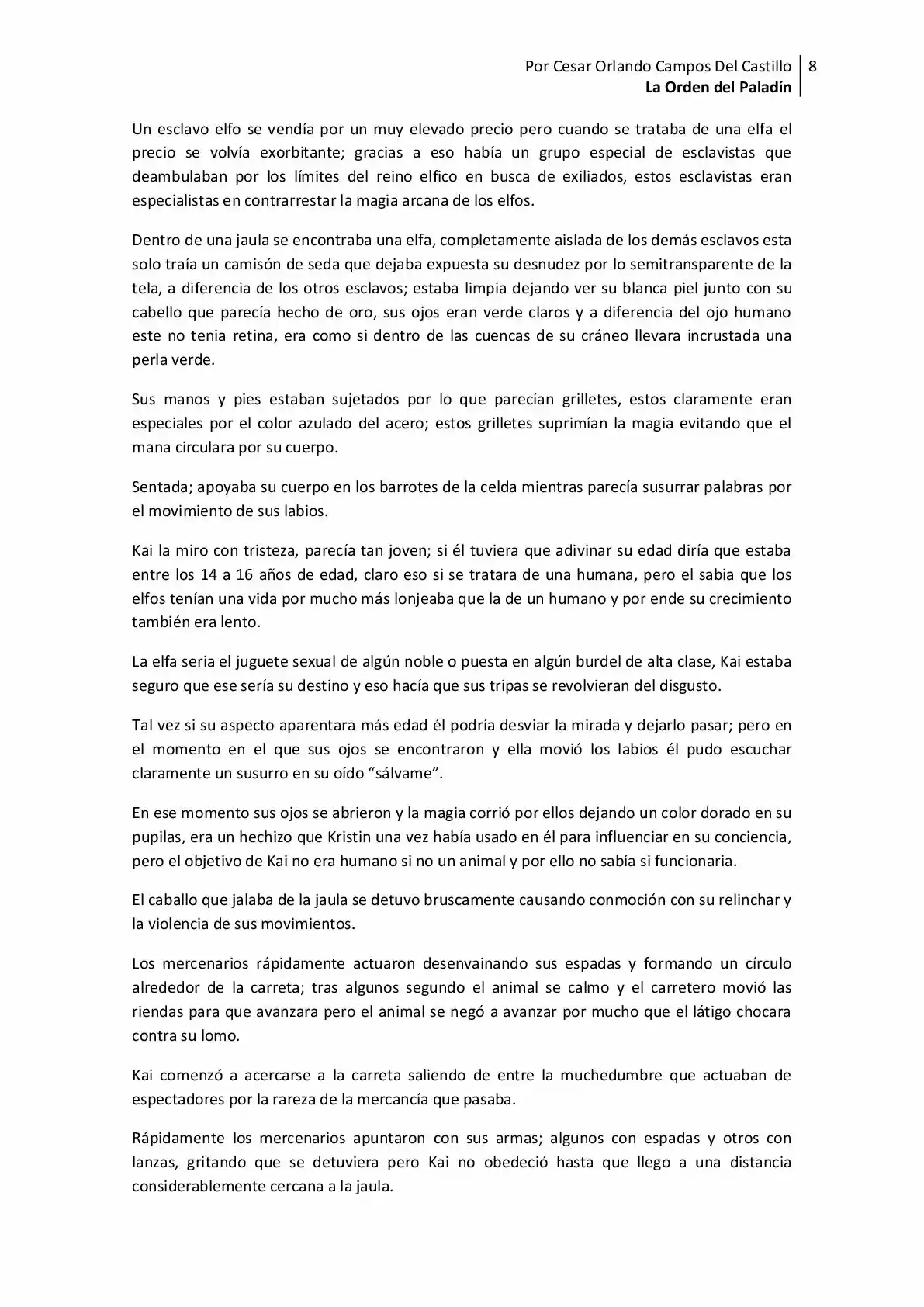 La Orden Del Paladin (Novela) - Capítulo 10 - Página 8 - LectorTMOo