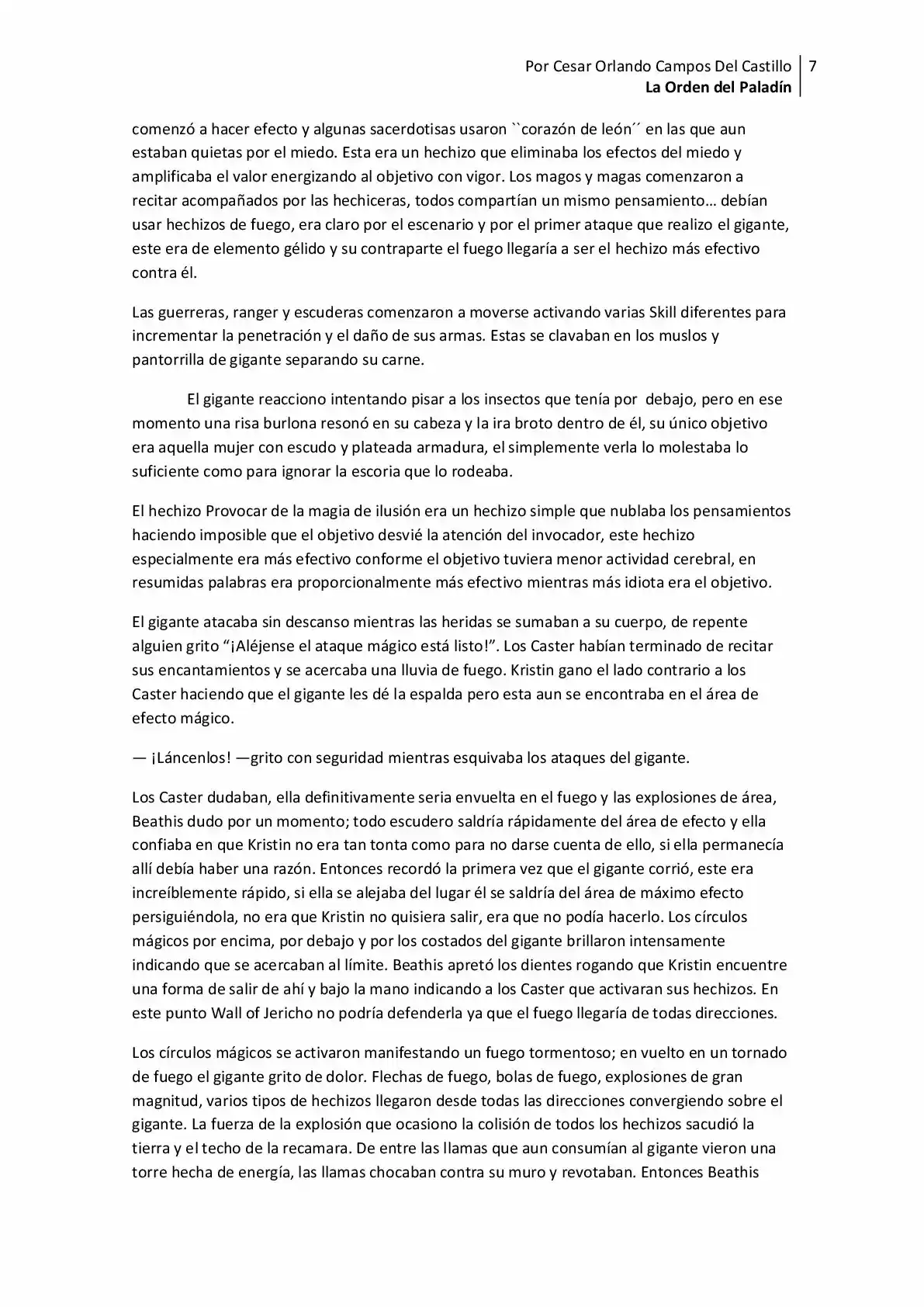 La Orden Del Paladin (Novela) - Capítulo 13 - Página 7 - LectorTMOo