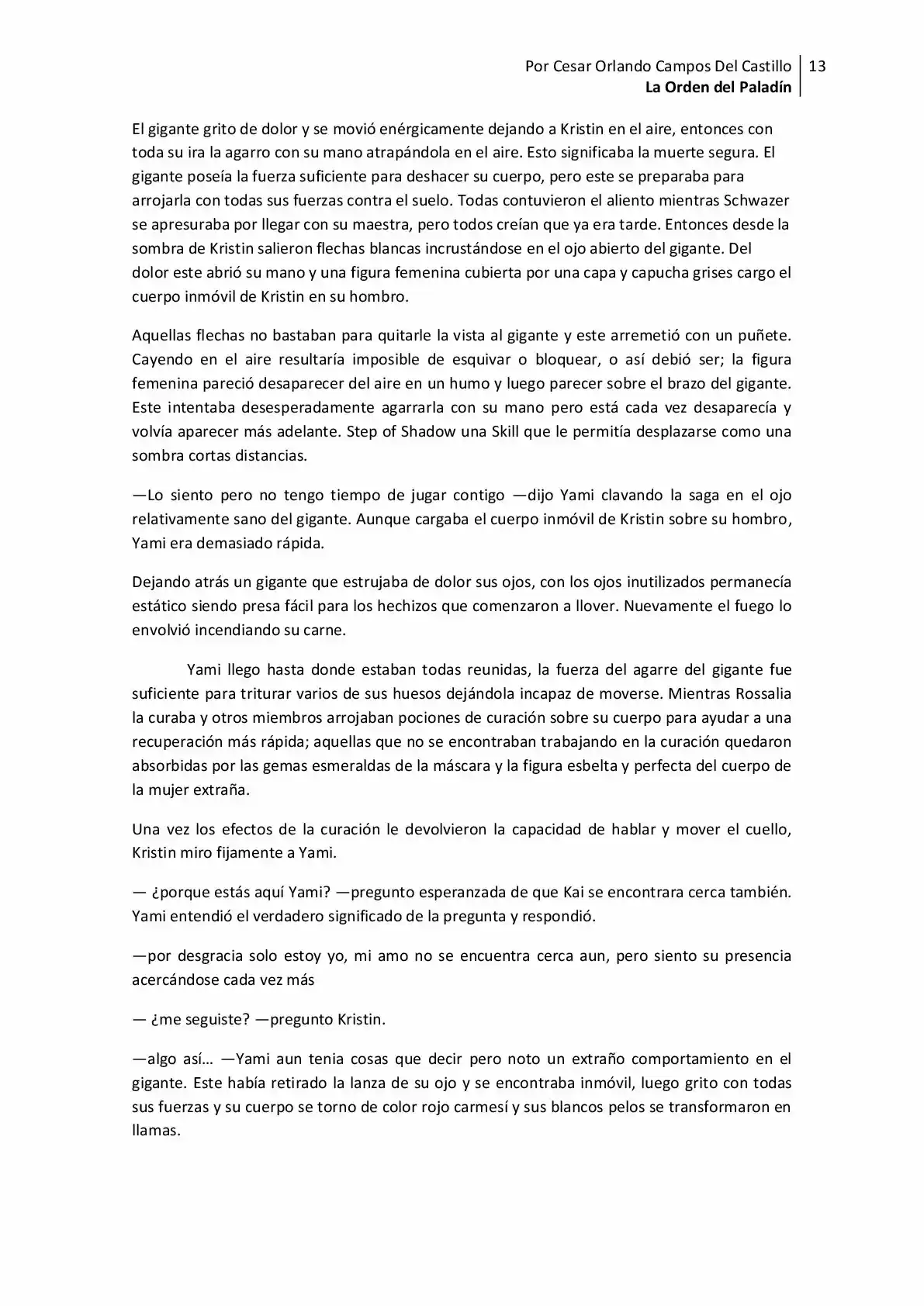 La Orden Del Paladin (Novela) - Capítulo 13 - Página 13 - LectorTMOo