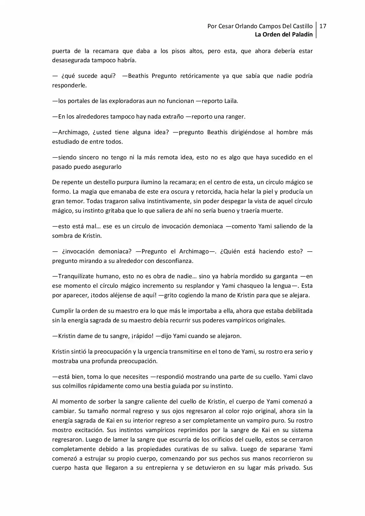 La Orden Del Paladin (Novela) - Capítulo 13 - Página 17 - LectorTMOo