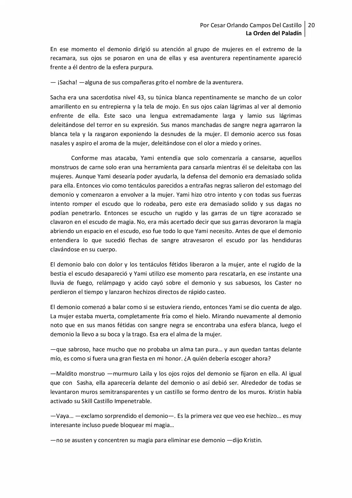 La Orden Del Paladin (Novela) - Capítulo 13 - Página 20 - LectorTMOo
