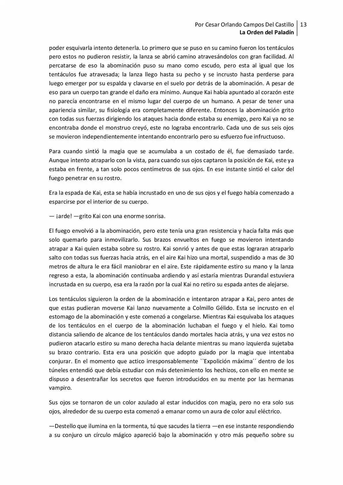 La Orden Del Paladin (Novela) - Capítulo 14 - Página 13 - LectorTMOo