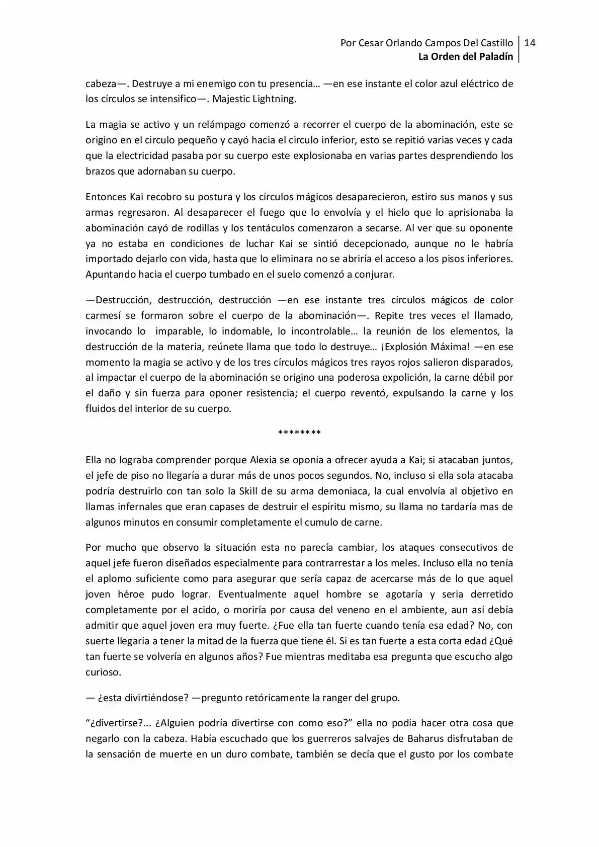 La Orden Del Paladin (Novela) - Capítulo 14 - Página 14 - LectorTMOo
