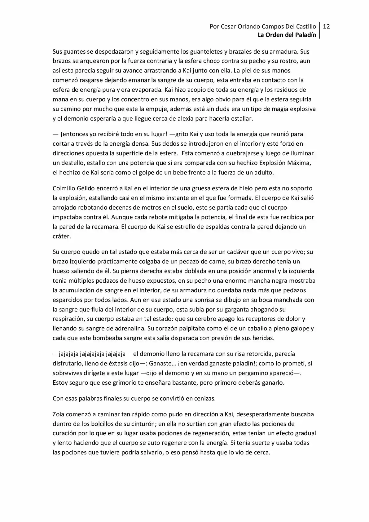 La Orden Del Paladin (Novela) - Capítulo 16 - Página 12 - LectorTMOo
