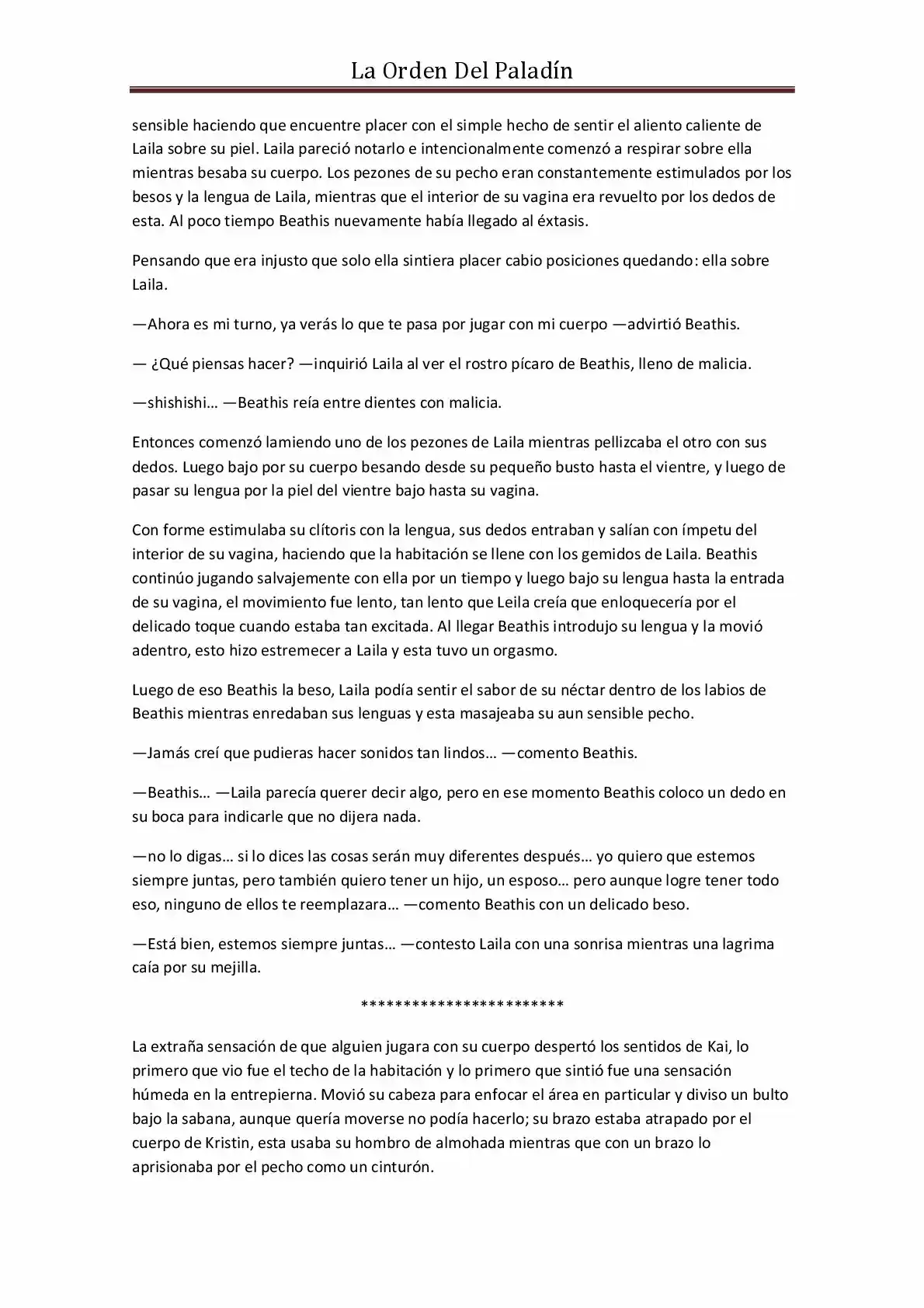 La Orden Del Paladin (Novela) - Capítulo 18 - Página 11 - LectorTMOo