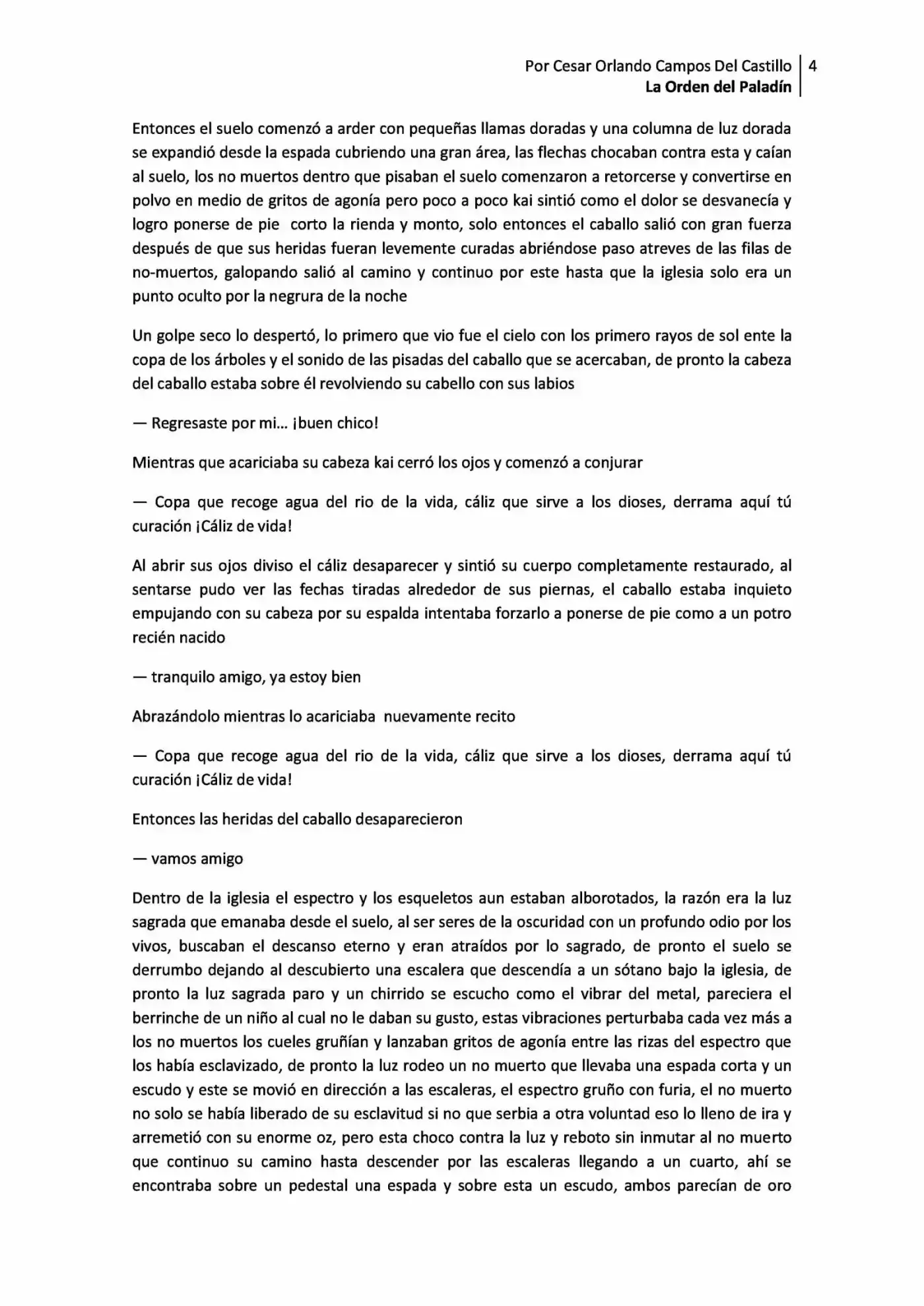 La Orden Del Paladin (Novela) - Capítulo 2.10 - Página 4 - LectorTMOo